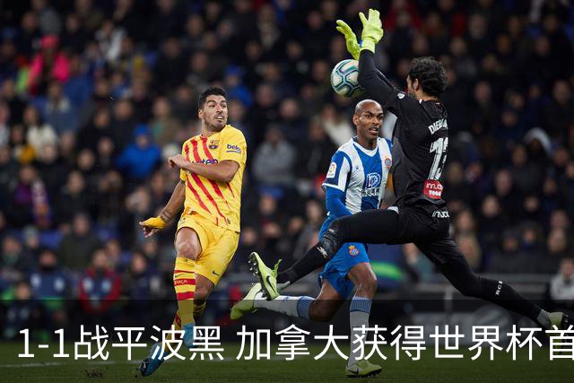 1-1战平波黑 加拿大获得世界杯首个积分